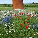 Dans Parc De Sculptures - 
