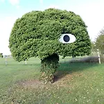 Dans Parc De Sculptures - 