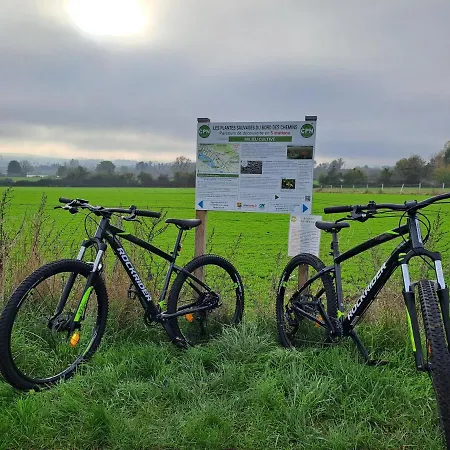 Dans Parc De Sculptures - 