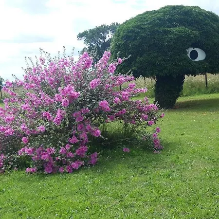 Dom wakacyjny Dans Parc De Sculptures - 