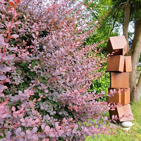 Dans Parc De Sculptures - 